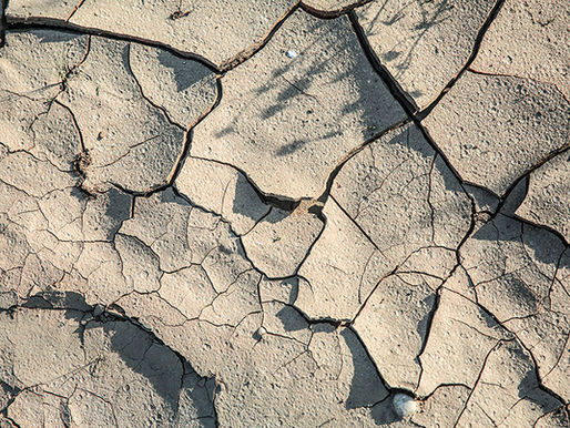 El desafío global del cambio climático: nuestro compromiso y el camino por recorrer