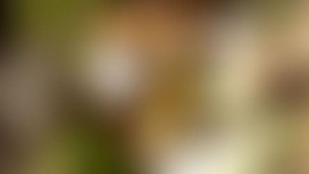 No desperdiciar a las personas. Entre el descarte de personas y alimentos.