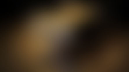 El pesebre está vacío