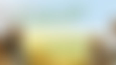 Economía de Francisco: esperanza que incluye, humaniza y regenera.