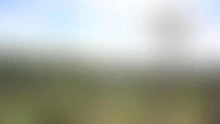 Entre rosarios y armas: fe y crimen organizado