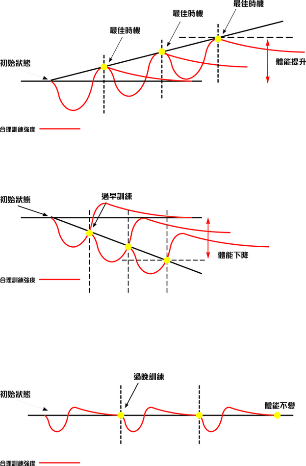 超量恢復圖 (合理訓練強度).png