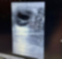 Leon embryo_edited_edited.jpg