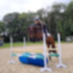 Bear jump