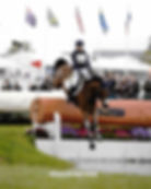 Tattersalls CCI4*L