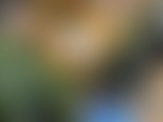 La 17E Aile Est Prête à Relever Le Défi !