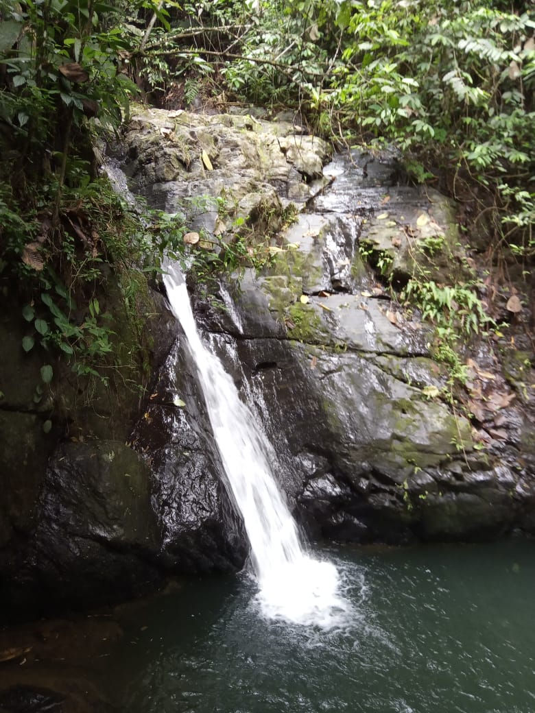 Miniatura: Full Day: Naranjal y Ruta del Cangrejo.