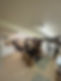 IMG_4537.jpeg