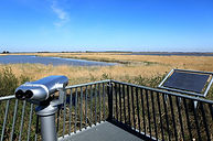 landschap-brekkenmoeras-lemmer.jpeg