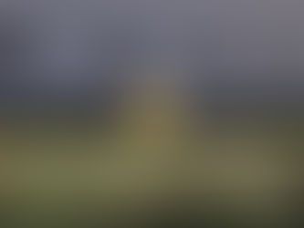 Alone Together: The Art of Empty Seating