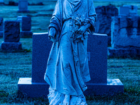 Soft Light, Hard Edges