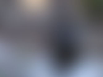 Quick Snaps & Favorite Shots: A Glimpse Through My Lens