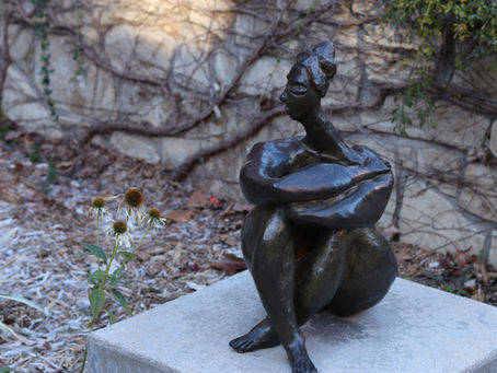 Quick Snaps & Favorite Shots: A Glimpse Through My Lens