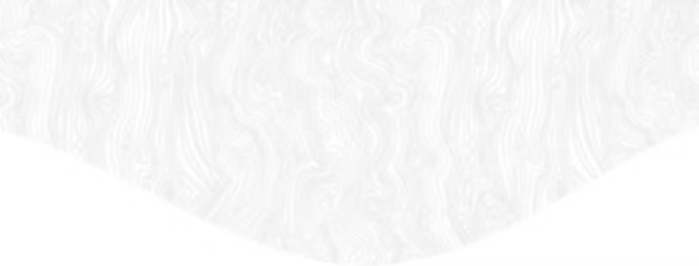 rh08-top-bg.png