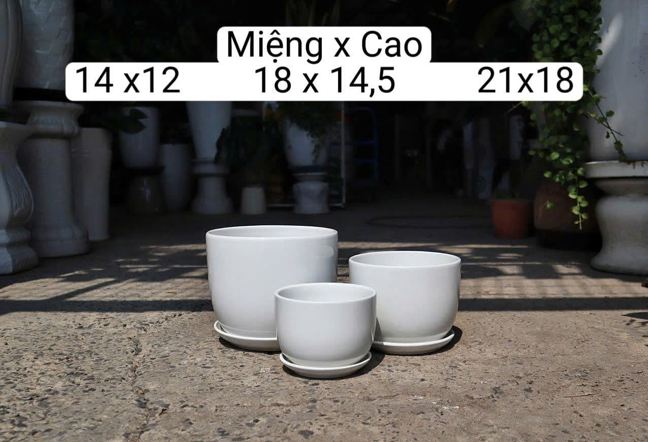 Chậu Men Sứ Trắng