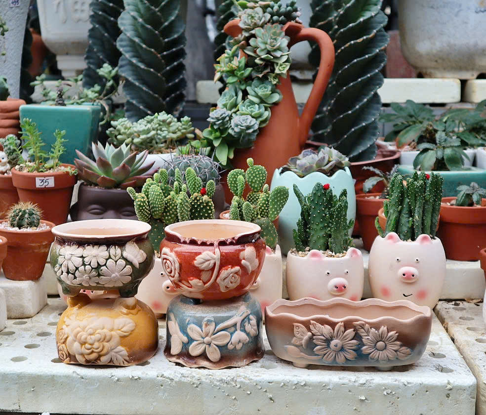 Bộ Chậu Gốm Hoa Nổi