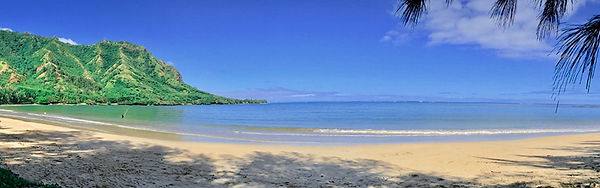 Screen Shot 2018-12-17 at 9.54.05 PM.jpe