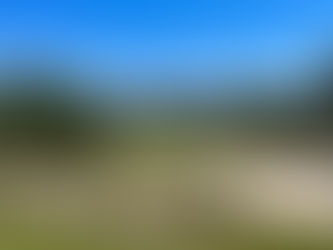 117 - Terras da Comporta (Dunas)