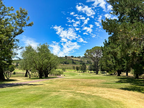 81 - Devonvale Golf & Wine Estate