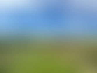 192 - Burnham & Berrow Golf Club (Championship)