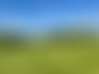 194 - Celtic Manor Resort (Roman Road)