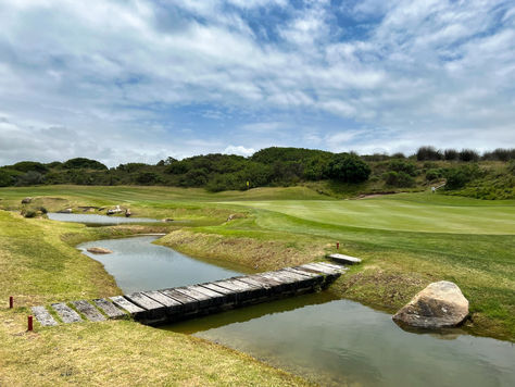 61 - St Francis Links