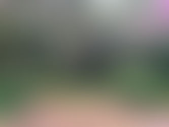 66 - Plettenberg Bay Country Club