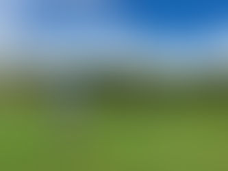 222 - Champagne Sports Resort