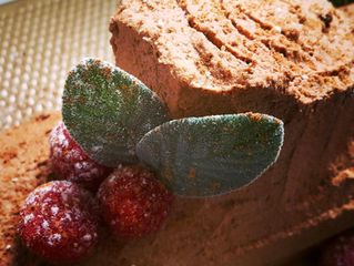 Sugar free | Gluten Free | Keto Christmas Yule Log Cake