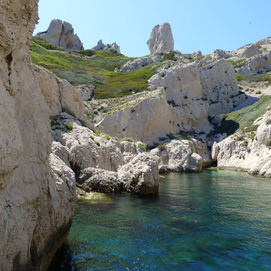 Sortie en mer Calanques de Marseille