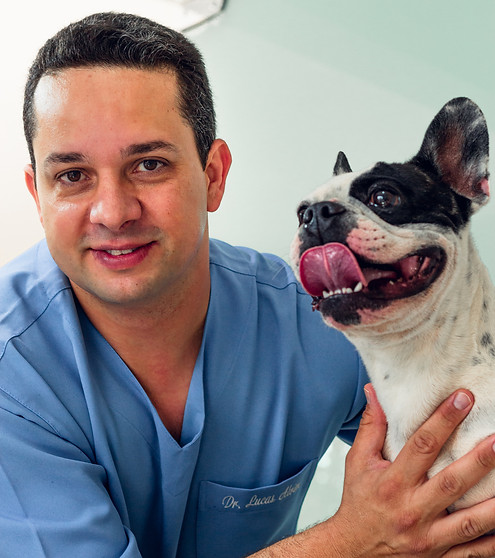 veterinário com cachorro 