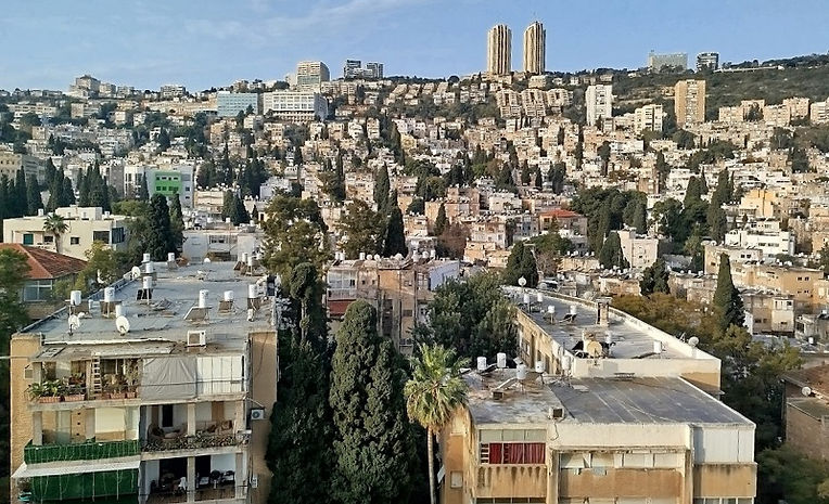 הדר הכרמל בירידה במדרגות - הליכות ג'יין חיפה
