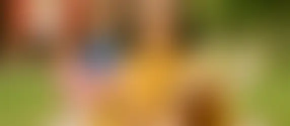 Inglés para universitarios en Perú