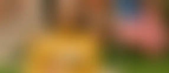 inglés para estudiantes universitarios en USA - Principales razones por las que el inglés 