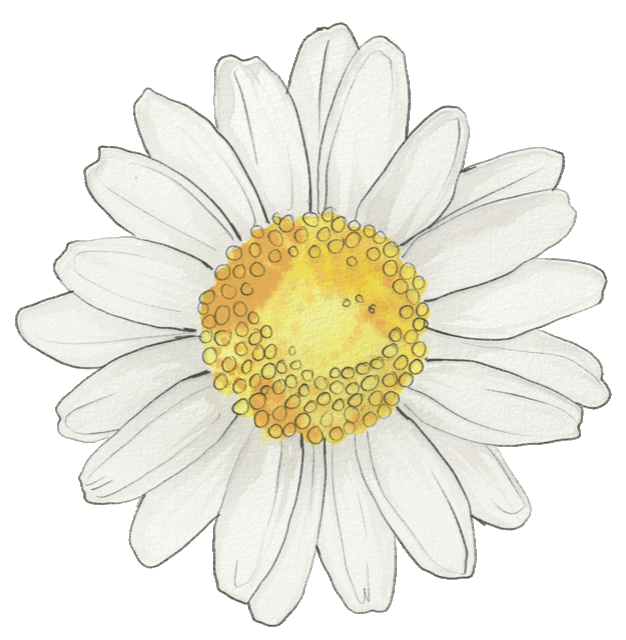 ll daisy.GIF