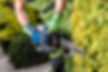 taille darbres et haies.jpeg