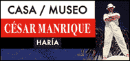 manrique-museo