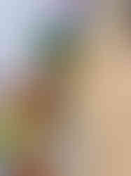 A1_Bonnie_detail_4.jpg