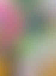A1_Bonnie_detail_3.jpg