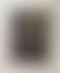image_123650291-11