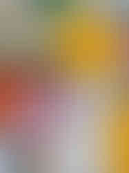 A1_Bonnie_detail_1.JPG.jpg