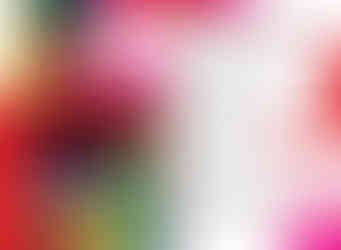BonnieLin_2dMultipage2