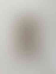image_50385665