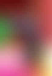 BonnieLin_2dMultipage9