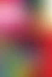 BonnieLin_2dMultipage