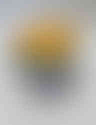 3D Object1024_4