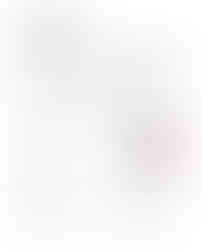 catalog_about2