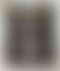 image_50397697