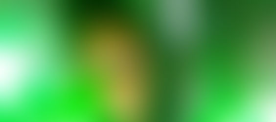 Performance Art Project Asia: Part Two