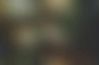 On the Art of Reception